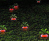 Solar Radish Garden Lights