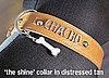 Customizable Pet Collars