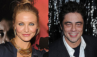 Cameron Diaz to Star in An Ex to Grind With Benicio Del Toro 2010-04-20 11:30:00