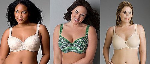 New Lane Bryant Plus-Size Lingerie Ad Rejected by TV Networks