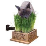 Earth Day Ideas For Pet Owners and Animal Lovers