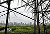 Big Bambú