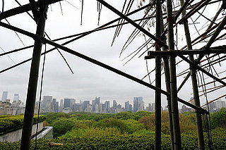 Pictures of Big Bambu at Met