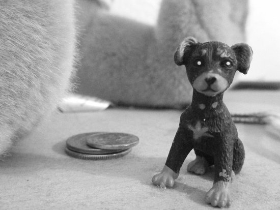 Creepy puppy :]