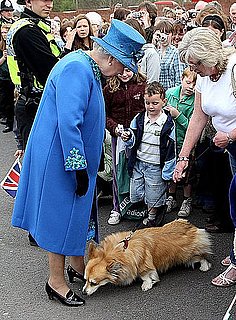 Photos of Queen Elizabeth With Corgi