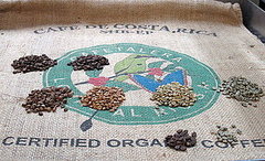 Photos of Starbucks Coffee Roasting Plant Tour