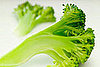 Why Doesn't Broccoli Come in a Can?