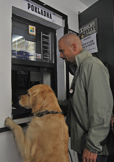 I'll Take Two Tickets For Must Love Dogs, Please!