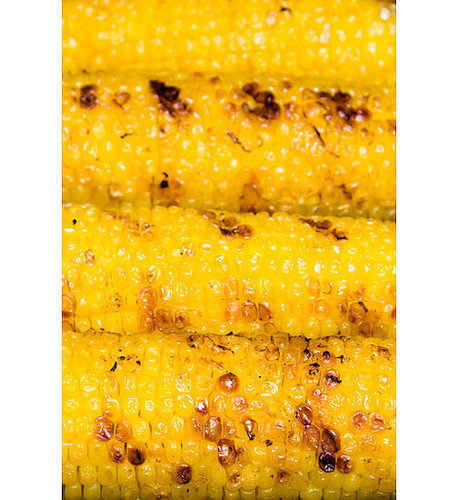 Corn Corn