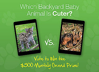 Pick the Cuter Backyard Baby in a Perfect Summer Faceoff! 2010-07-22 14:00:43