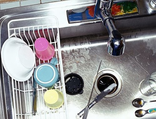 Does Your Sink Have a Garbage Disposal?