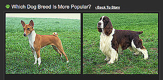 Do You Know Which Breed Is More Popular? 2010-05-22 04:00:00