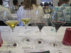 Inside a Riedel Comparative Wine Glass Tasting