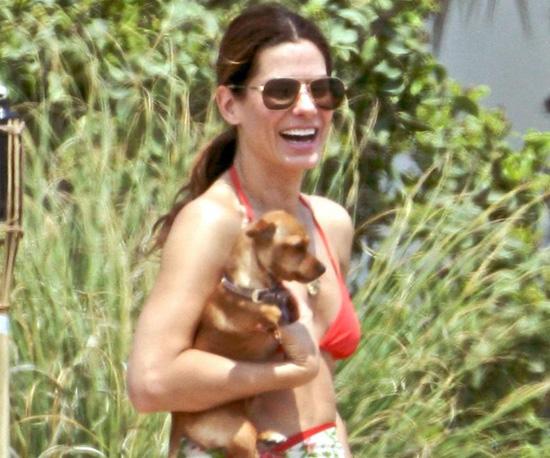 Sandra Bullock Sandra Bullock