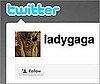 Twitter Bug Causes Forced Follows For Celebs