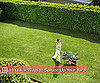 Quick, Easy, and Inexpensive Ways to Fix Up Your Yard
