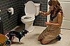 Embarrassing Moments With Pets 2010-05-17 12:00:58