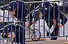 Pictures of Gisele Bundchen and Tom Brady Kissing in LA