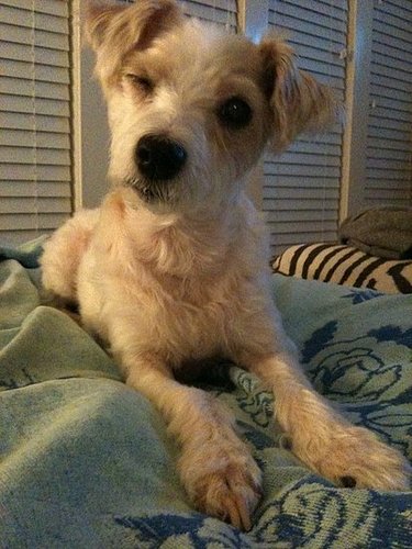 Hi, My Name Is Lily