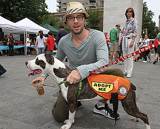 Pictures of Zach Braff at Adoptapalooza in NYC