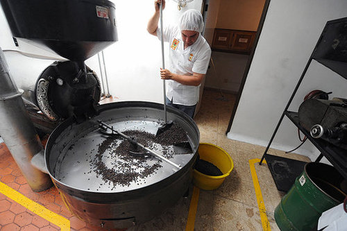 Coffee must be roasted to extract the full flavor. Coffee must be roasted to extract the full flavor.