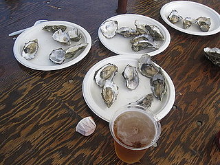 Would You Rather Eat Big or Small Oysters?