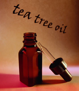 Tea Tree Oil Quiz