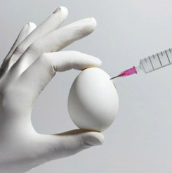 Fertility Treatments and Autism