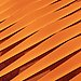 Burnt Orange