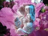 Ganesha - again...