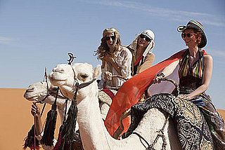 What's the Craziest Animal You've Ridden?