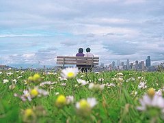 Seattle Residents Want Nude Beach Seattle Residents Want Nude Beach