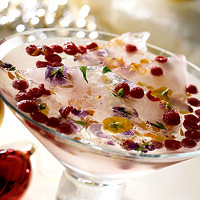 Sparkling Berry Punch Recipe
