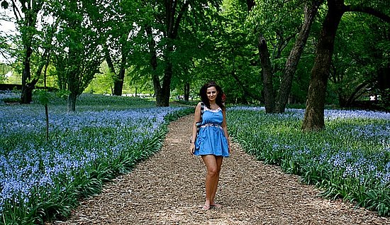 field full of orchids