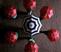 The New Pornographers Music Video For "The Crash Years" The New Pornographers Music Video For "The Crash Years"
