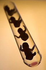 Companies That Offer Family Benefits