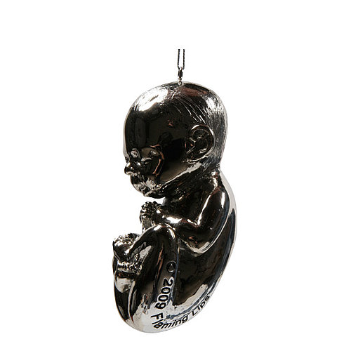 Fetus Items to Celebrate Pregnancy