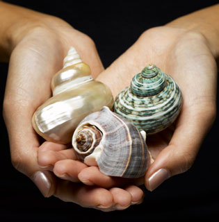 Lava Shell Massage