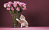 How to Dry Flowers With Kitty Litter