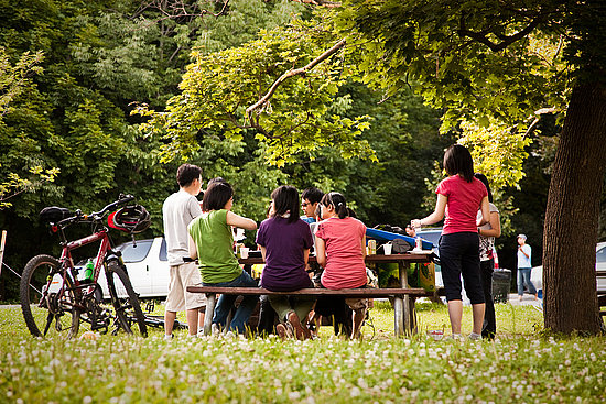 Plan a Fresh Air Fiesta Plan a Fresh Air Fiesta