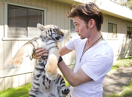 Baby Tigers Send Stars on The Last Airbender