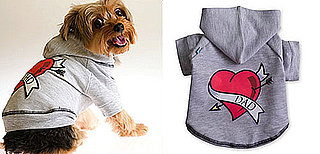 Dad-Themed Pet Gear: Spoiled Sweet or Spoiled Rotten?