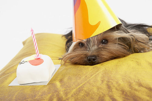 How About Birthday Cakes? How About Birthday Cakes?