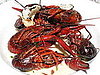 Have You Ever Eaten Crawfish?