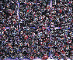 Nutritional Facts About Blackberries Nutritional Facts About Blackberries