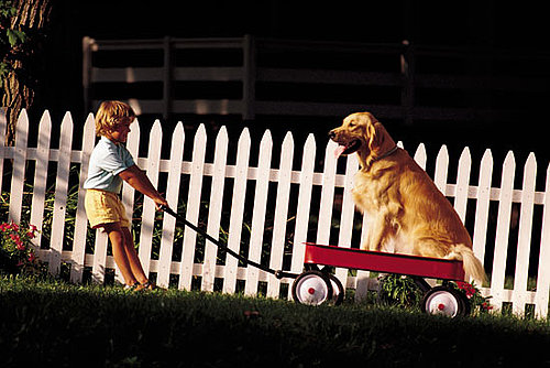 Neighbors Dog Names