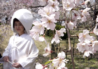 Why Can't Japanese Women Keep Their Maiden Names?