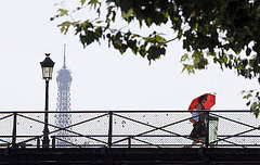 Eiffel Tower Picture