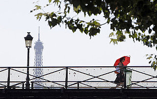 Eiffel Tower Picture
