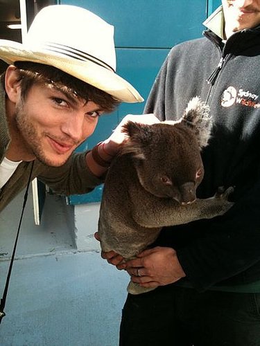 Ashton Kutcher's TwitPics from Sydney Visit to Promote Killers